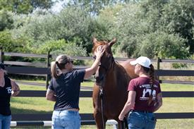 LR-WRF 08022025-Retreat-3093